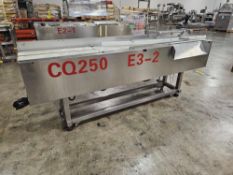 Automatic Feeding Conveyor