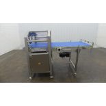 Emkon Automation Stainless Steel Smooth Top Belt Infeed Conveyor