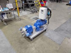 Positive Displacement Pump