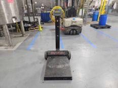 Rice Lake DH-1000 Portable Scale