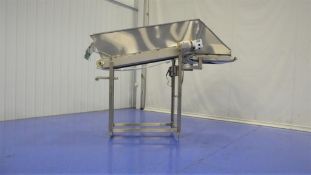 Cleated Incline Conveyor with SS Product Hopper