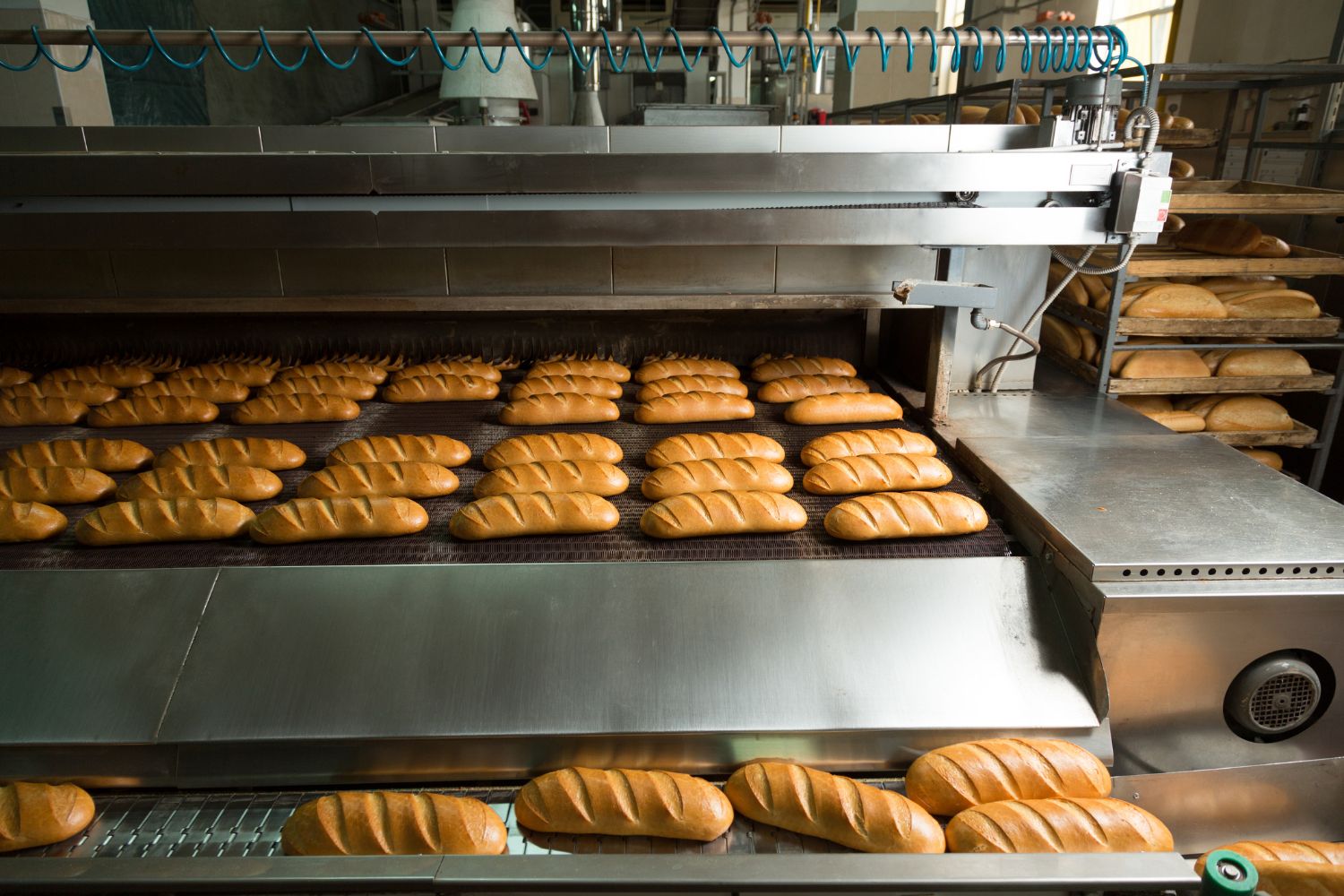 Quarterly Bakery and Snack Food and Packaging Equipment Auction
