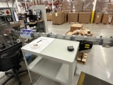 Automatic Feeder Company Inc. Plastic Table Top Conveyor