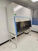 Thermo Scientific 1300 Series A2 Biosafety Cabinet