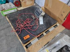 Avery Weight-Tronix ZM301-SD1 Platform Scale