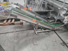 Incline Green Conveyor