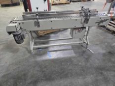 Conveyor with Stainless steel belt