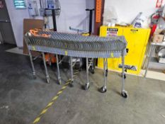 Accordian Conveyor