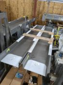 (2) PPM VF-ADVANCE Conveyor