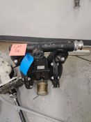 BSK 120 PSI Diaphragm Pump