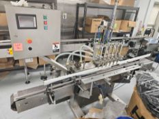 Six-Head Piston Filler