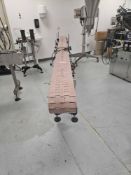 8 Inch Wide x 138 Inch Long Conveyor w/ .5 HP Motor