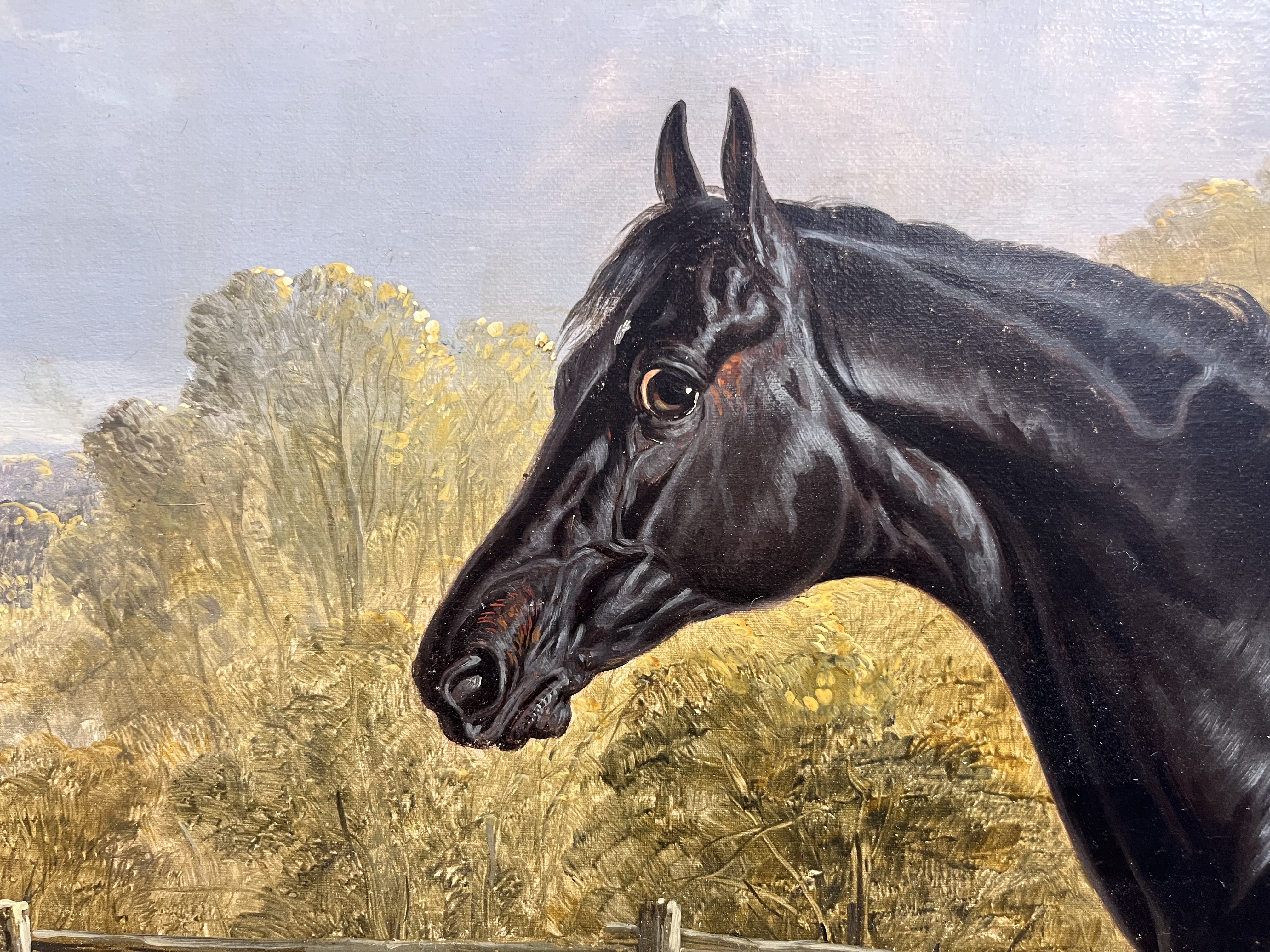 John Frederick Herring Sr. (1795 - 1865), Portrait of the thoroughbred stallion Sheet Anchor - Image 3 of 7