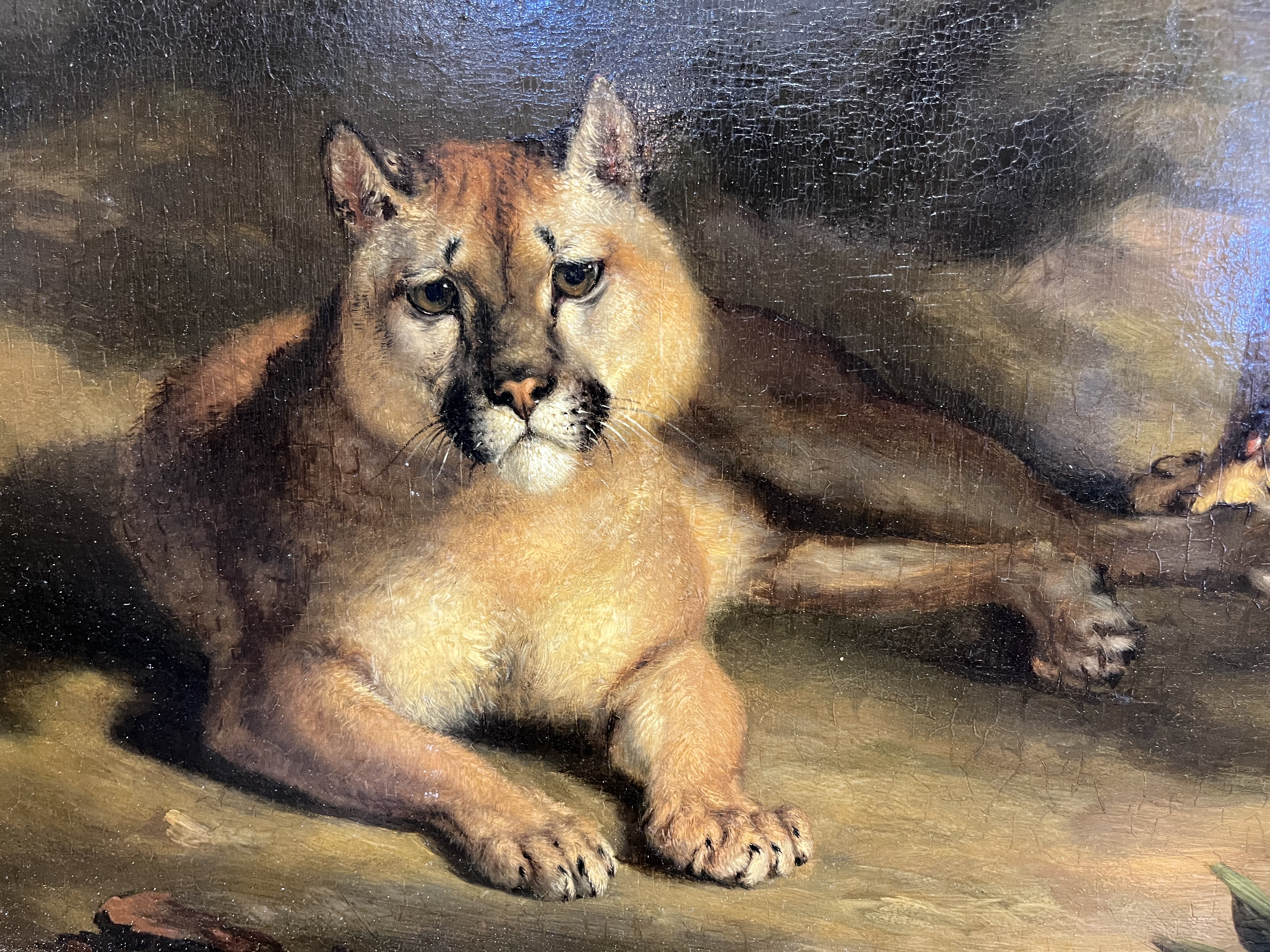 William Huggins (1820 - 1884), Two pumas in a landscape - Image 3 of 4