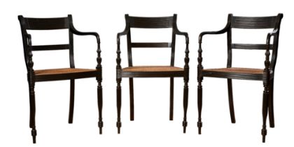 Antique, Anglo-Indian, A suite of 12 cane and black hardwood dining chairs