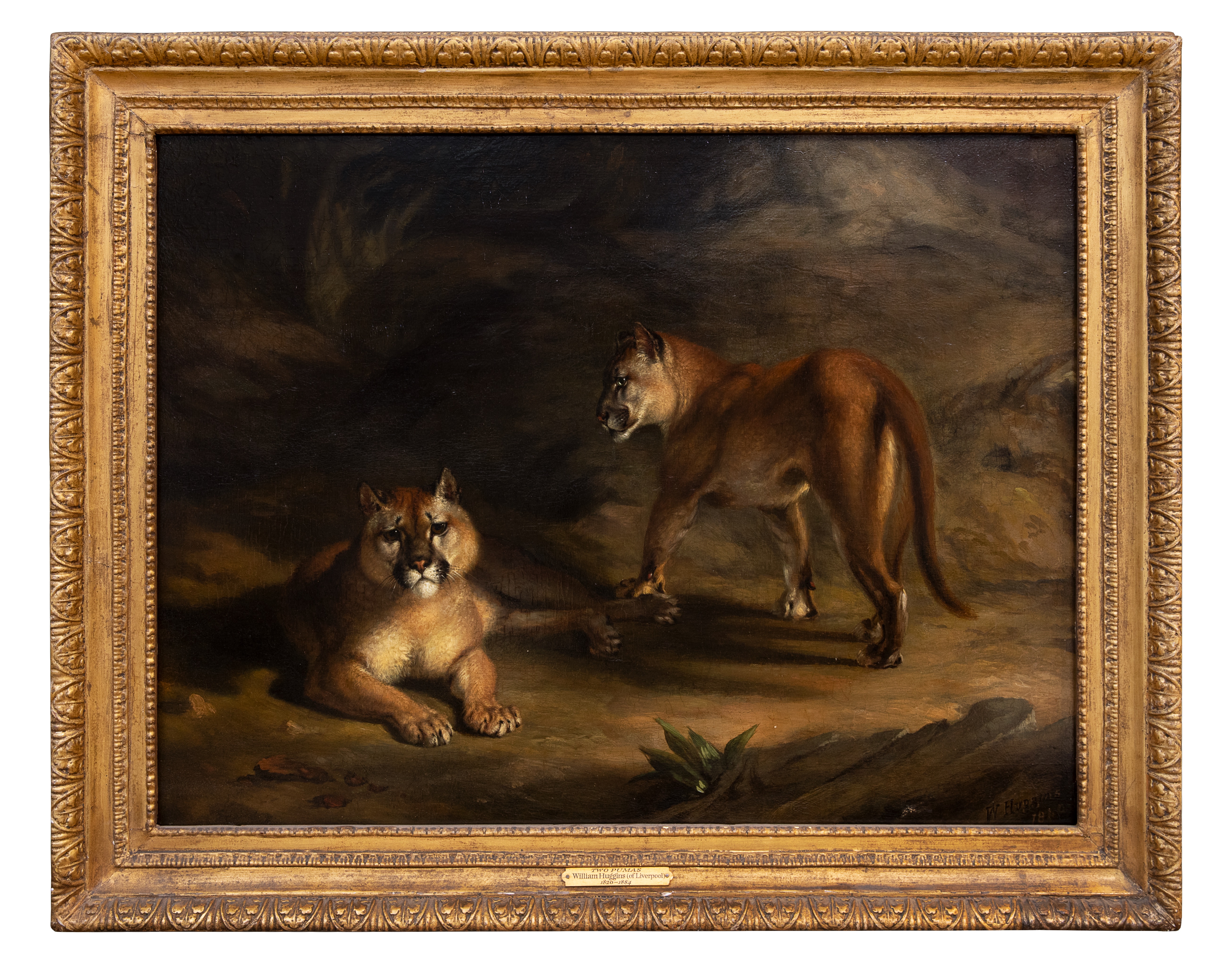 William Huggins (1820 - 1884), Two pumas in a landscape