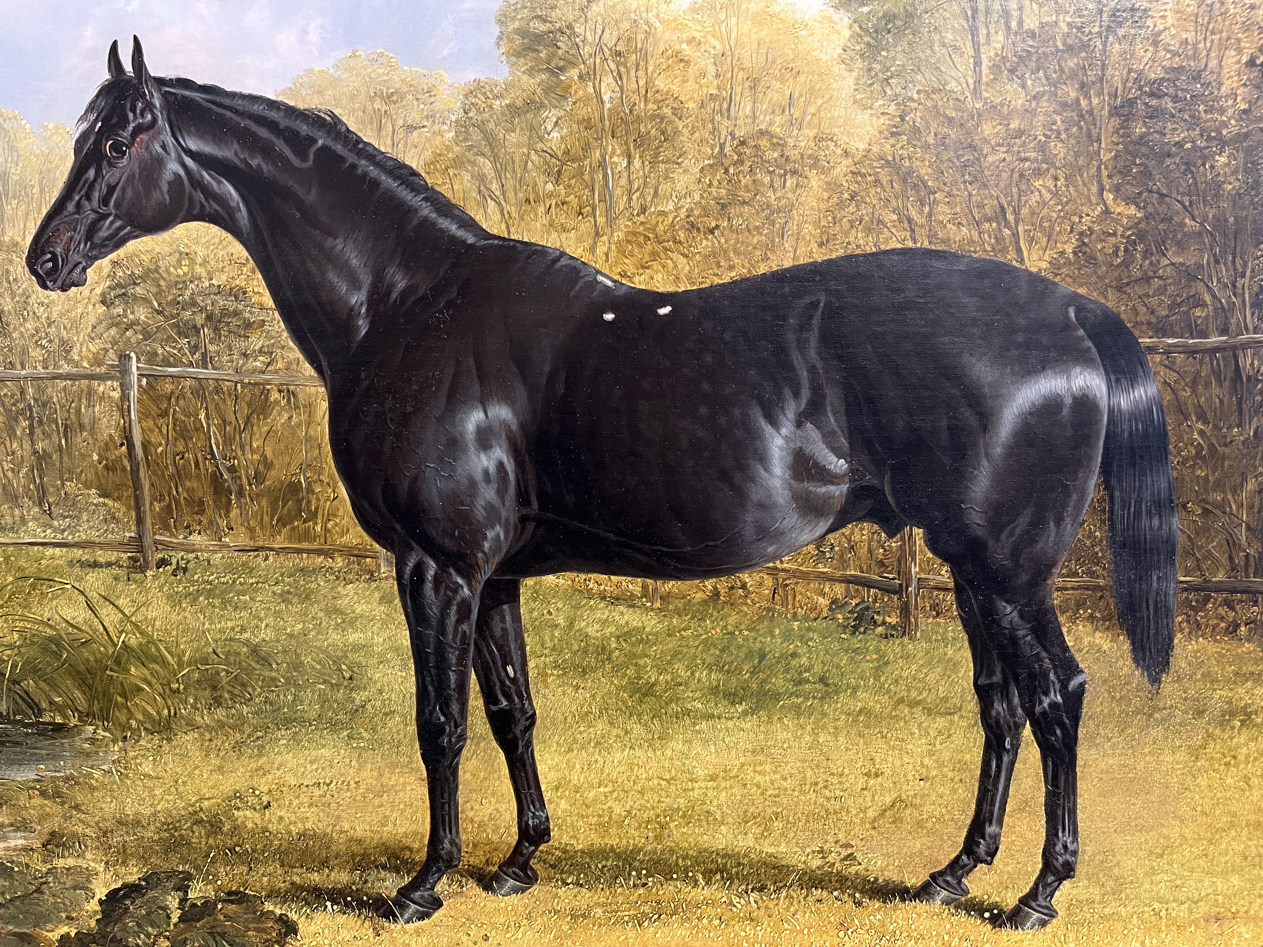 John Frederick Herring Sr. (1795 - 1865), Portrait of the thoroughbred stallion Sheet Anchor - Image 5 of 7