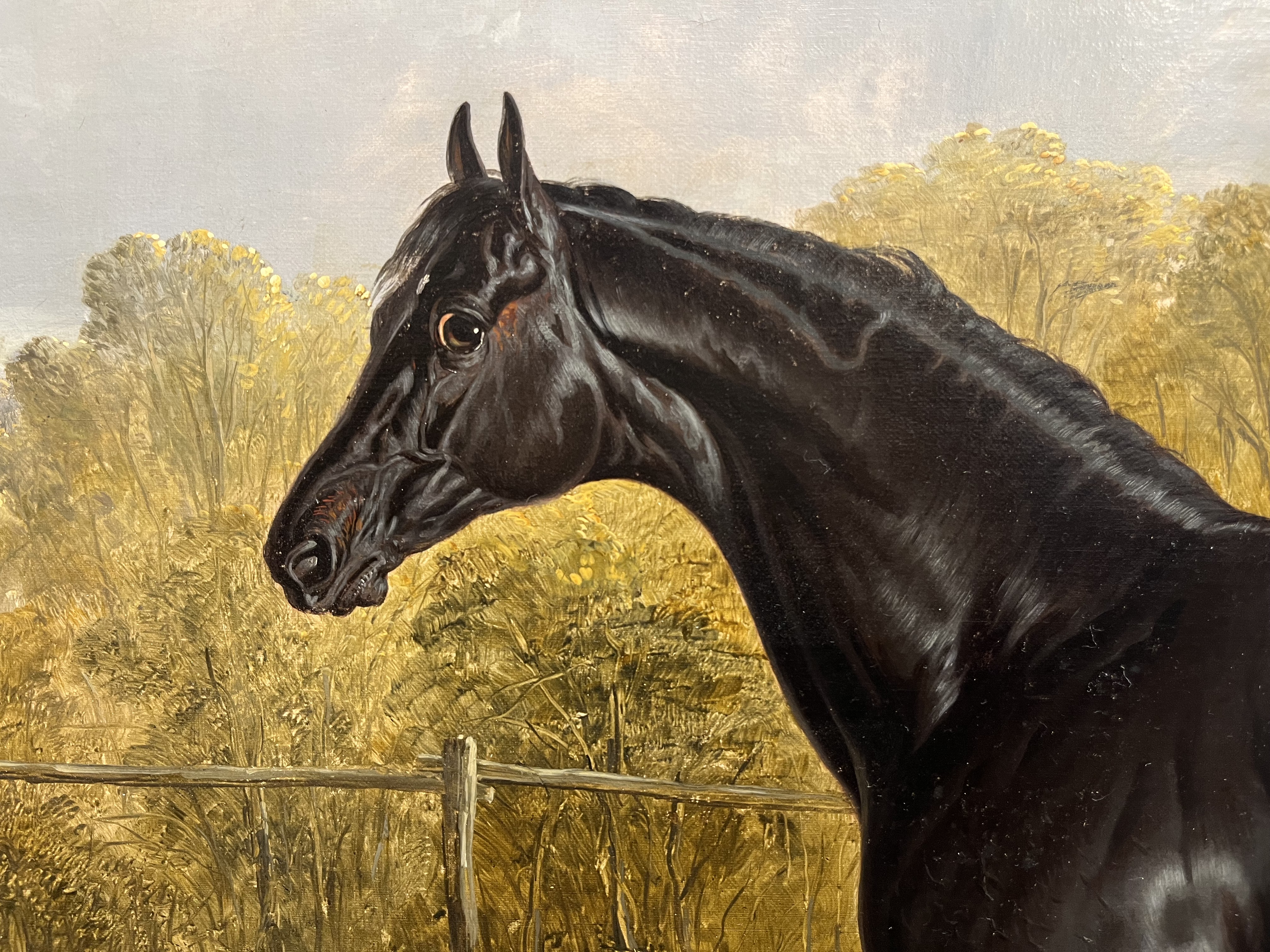 John Frederick Herring Sr. (1795 - 1865), Portrait of the thoroughbred stallion Sheet Anchor - Image 4 of 7