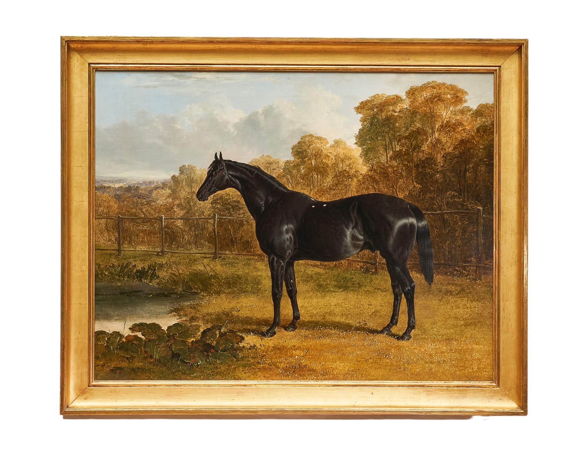 John Frederick Herring Sr. (1795 - 1865), Portrait of the thoroughbred stallion Sheet Anchor