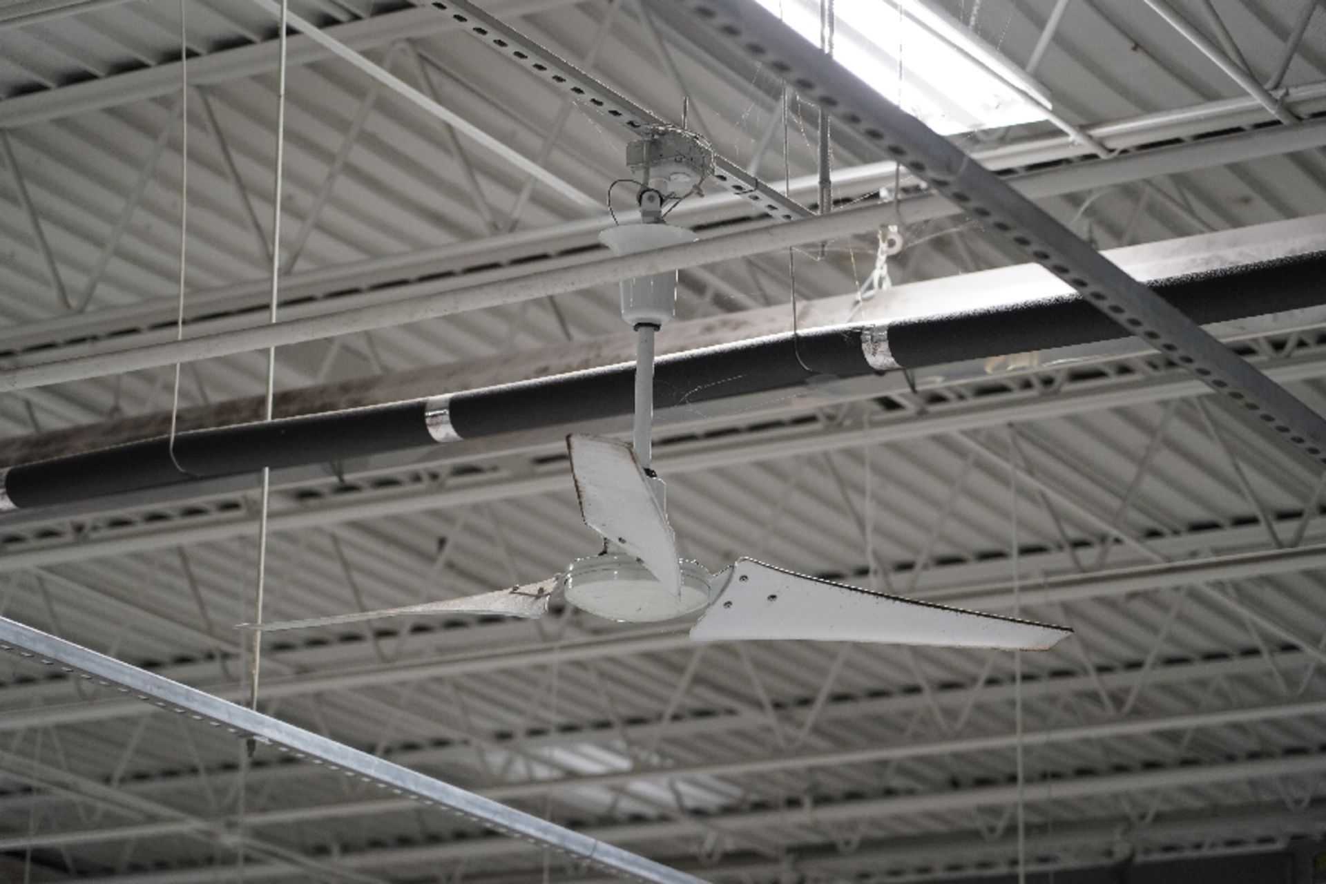 Variable Speed Ceiling Fans - Image 3 of 3