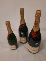 2 MAGNUM MOET & CHANDON BOTTLES OF CHAMPAGNE & 1 STANDARD BOTTLE