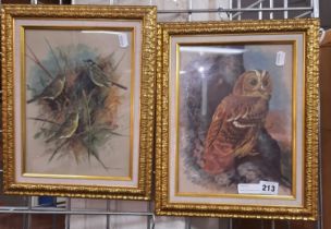 BASIL EDE PAIR OF ORNATHALOGICAL FRAMED PICTURES
