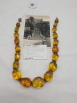 AMBER NECKLACE A/F