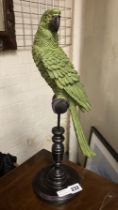 GREEN PARROT ON PERCH