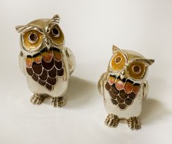 SILVER & ENAMELLED PAIR OF OWLS - 4CMS (H) APPROX
