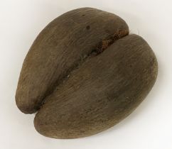 COCO DE MER