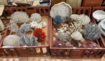 2 TRAYS OF VARIOUS CORAL