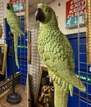 LARGE GREEN PARROT ON PERCH