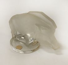 LALIQUE WARTHOG - 7 CMS (H) APPROX