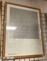 BRIDGET RILEY FALL C2003 TATE PUBLISHING POSTER