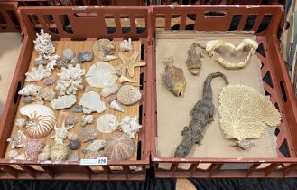 COLLECTION OF SEA MINERALS & TAXIDERMY TO INCLUDE - GREAT WHITE SHARK TEETH, PUFFER FISH, CORAL,