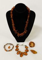 COLLECTION OF BALTIC AMBER
