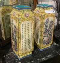 PAIR OF CHINESE PORCELAIN VASES - 30CMS (H)