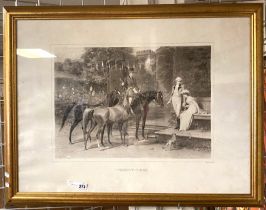 GILT FRAMED- EQUINE PICTURE