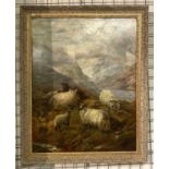 ROBERT WATSON (1865-1916) OIL ON CANVAS ''SHEEP IN THE HIGHLANDS'' SIGNED & DATED 71CM X 91CM