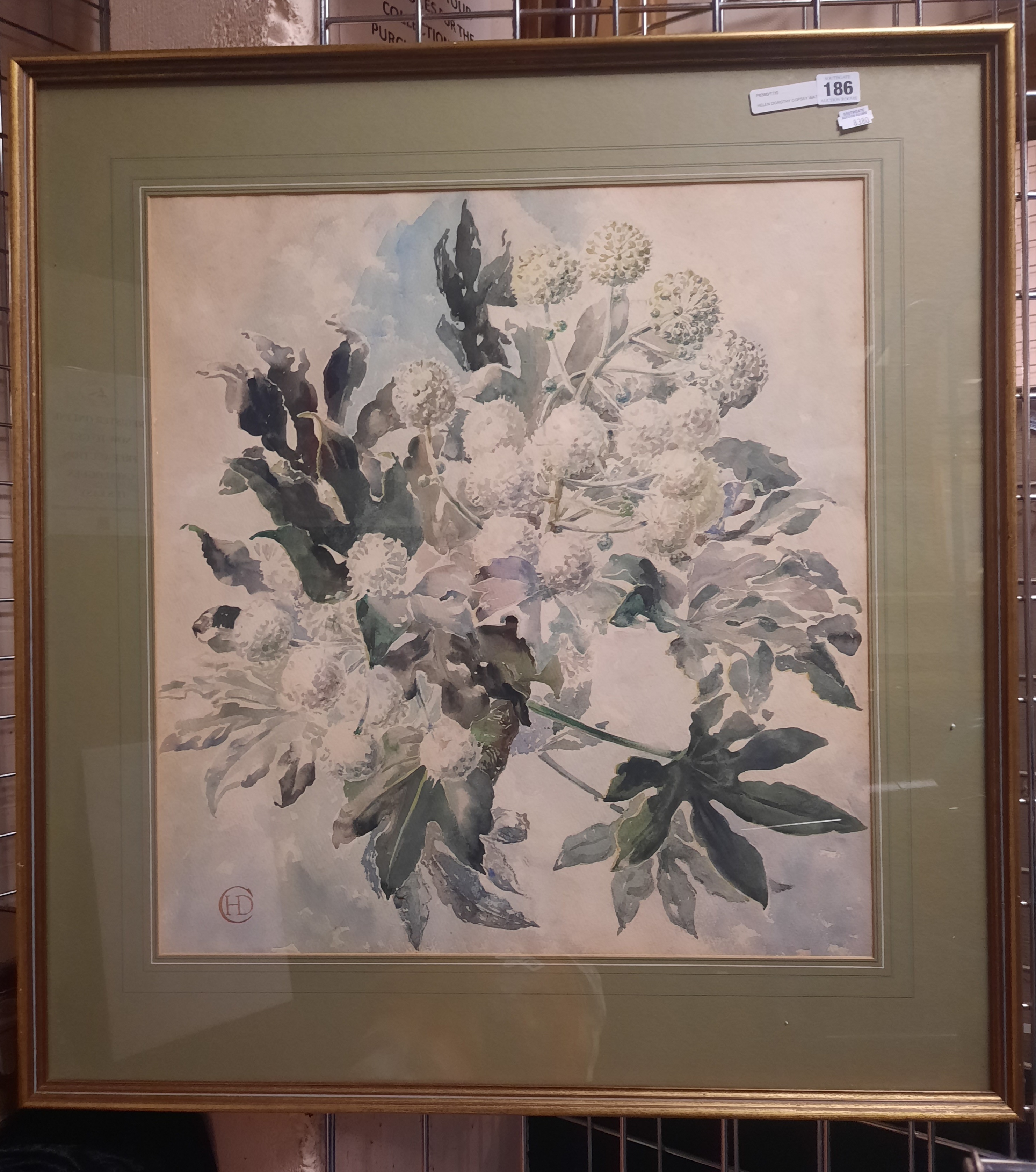 HELEN DOROTHY COPSEY WATERCOLOUR: FATSIA JAPONICA - 57.5 X 53.5 CMS APPROX PICTURE ONLY