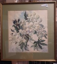 HELEN DOROTHY COPSEY WATERCOLOUR: FATSIA JAPONICA - 57.5 X 53.5 CMS APPROX PICTURE ONLY