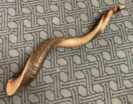 JEWISH SOFAR HORN - 80 CMS (L)