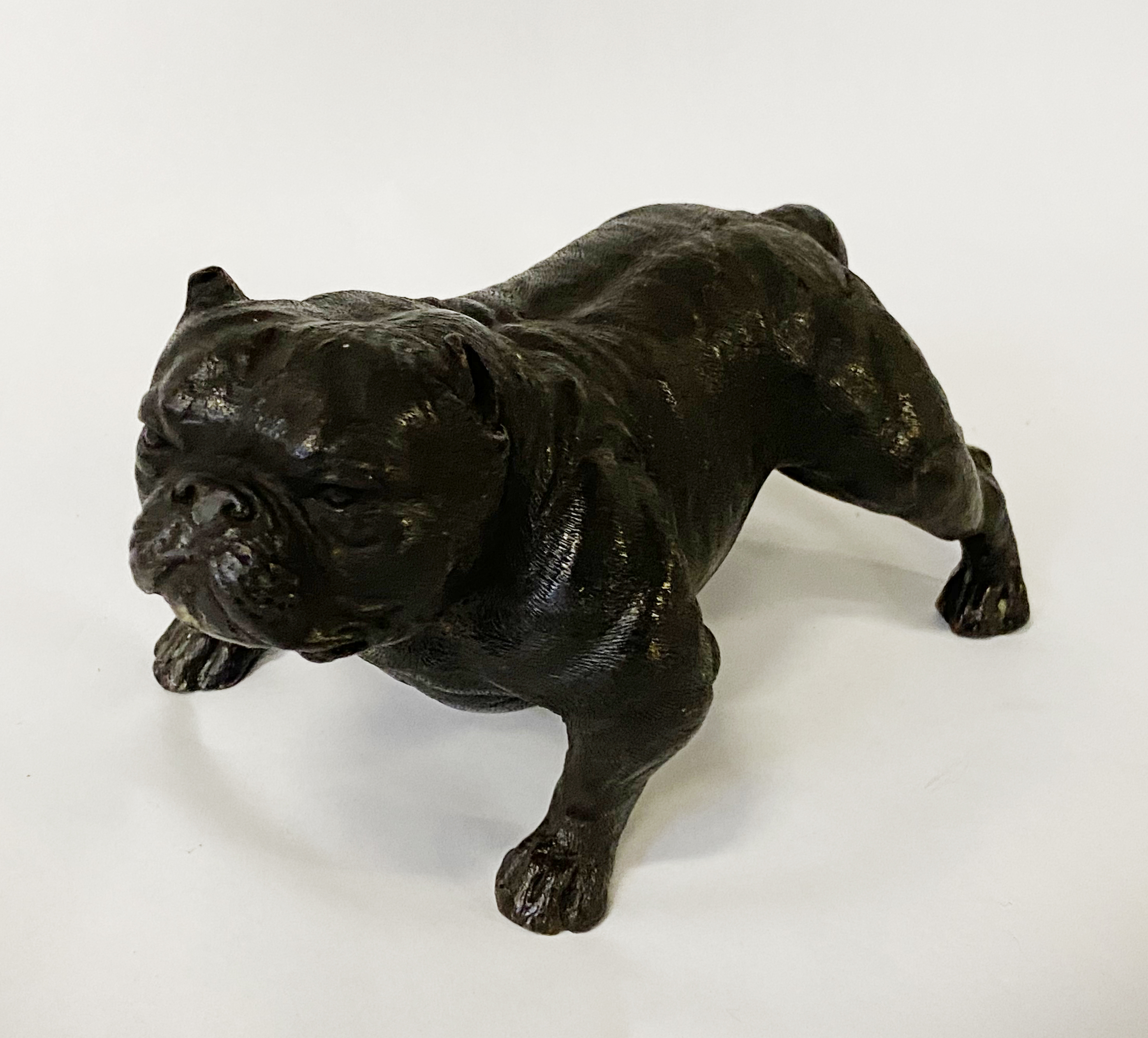 BRONZE BULLDOG