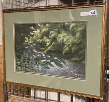 MIXED MEDUIM - WOODED SCENE - SIGNED 27.5CMS (H) X 42CMS (W) PIC ONLY