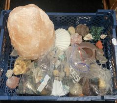 TRAY OF MINERALS & FOSSILS