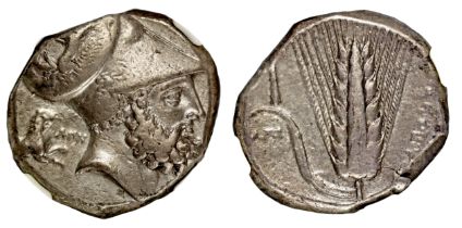 † Italy, Lucania, Metapontum, silver Distater, c. 340-330 BC, head of Leukippos right, wearing