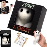 Adopt A Ghost, Ghost Plush Cute Little Pocket Ghost with A Tiny Scroll, Mini Needle Felted Ghost Do