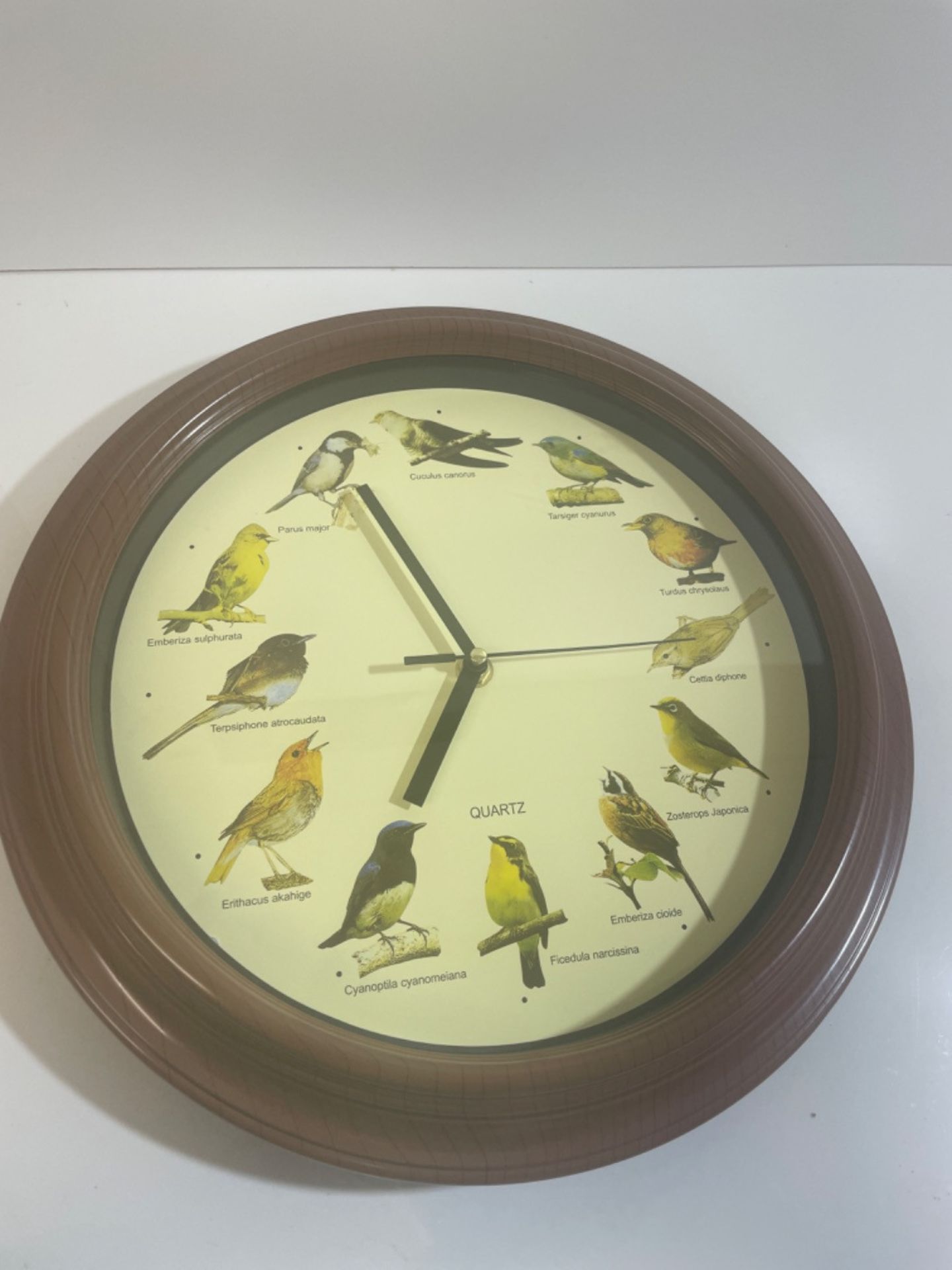 Out of the Blue Plastic Wall Clock with Birds Design, Multicolour, l x 32 cm w - Image 2 of 3