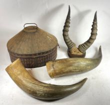 A pair of 20th century mounted antelope horns, together with a pair of unmounted horns, two
