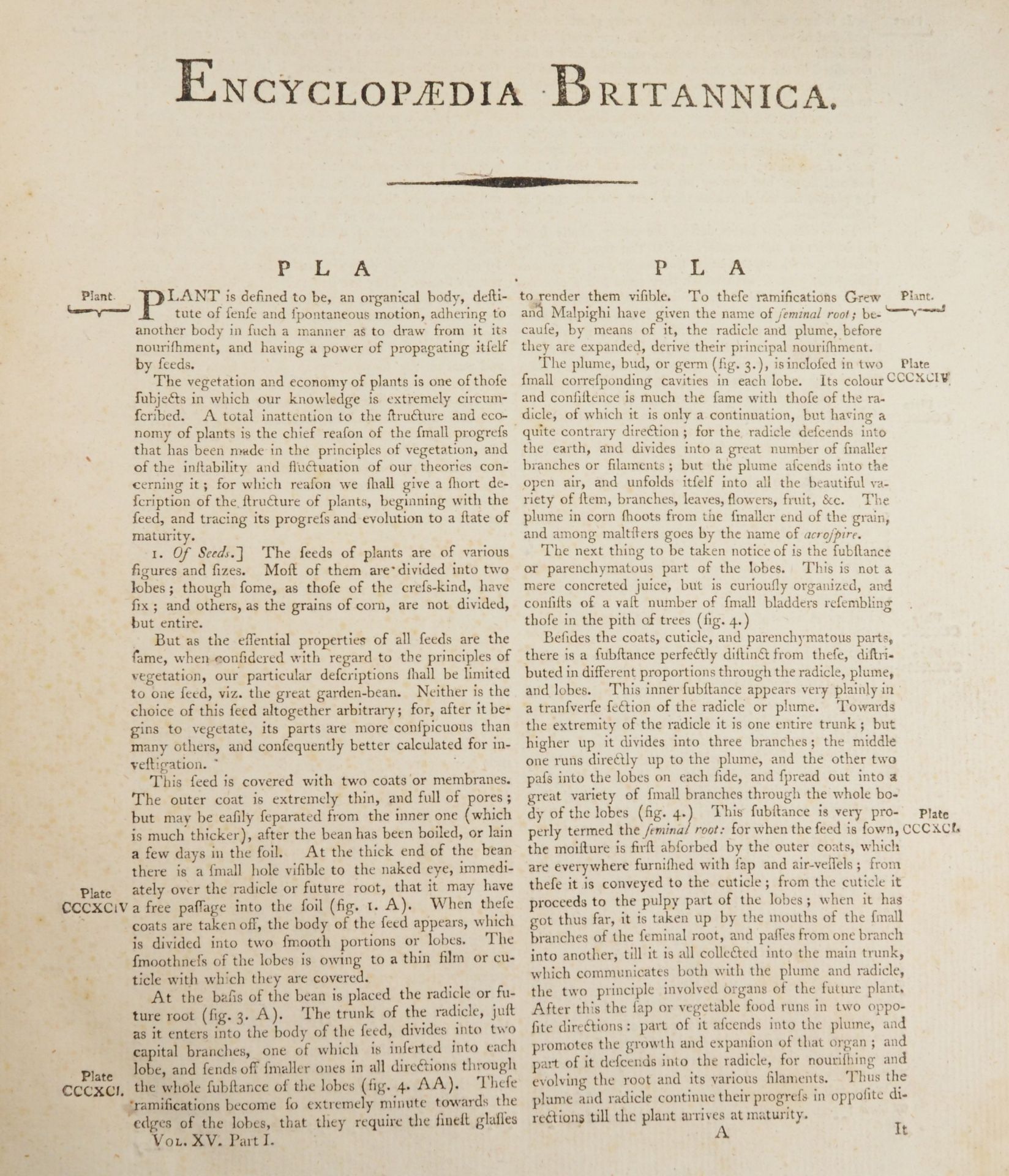 Encyclopaedia Britannica or a Dictionary of Arts, Sciences and Miscellaneous Literature. - Image 4 of 4